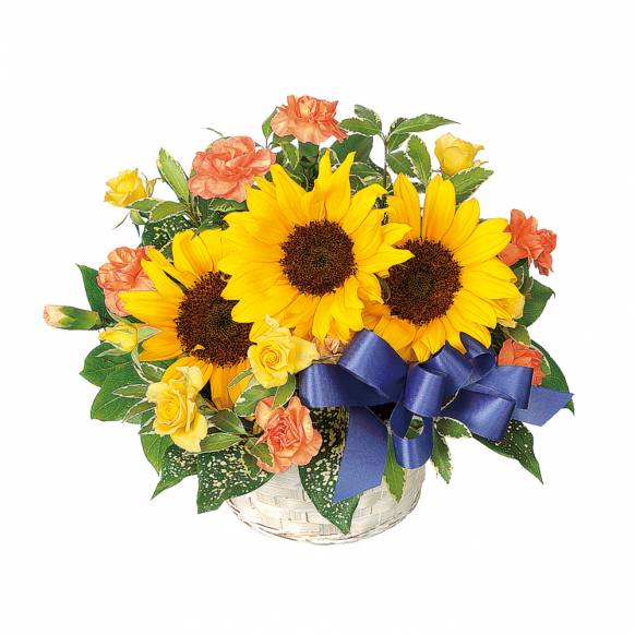 徳島県板野郡板野町の花屋 フラワーショップ花の心にフラワーギフトはお任せください 当店は 安心と信頼の花キューピット加盟店です 花キューピットタウン